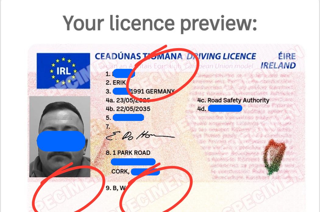 Irland EU Führerschein Eric vorläufiger (1)
